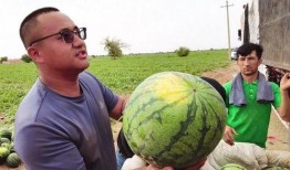 陕铁院吃瓜,揭秘校园热点背后的真相