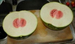 极品吃瓜网爆,极品吃瓜网独家爆料，明星幕后真相大曝光！