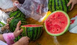 广东中山吃瓜视频,探寻广东美食的独特魅力