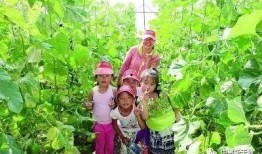 坐着吃瓜哪家强,探寻全国坐着吃瓜最强之地