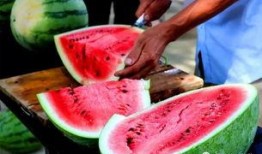 梦见自己去地里吃瓜,揭秘梦中地里吃瓜的神秘寓意