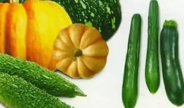 青芒果瓜怎么吃,青芒果瓜的多样食法探索