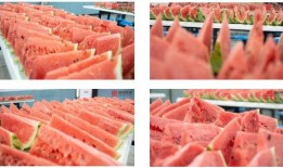 彤彤吃瓜了,揭秘娱乐圈最新热点事件