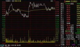 渤海证券 吃瓜,揭秘吃瓜背后的投资智慧与风险防范”