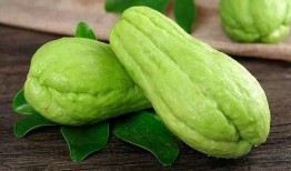 丁圣元吃瓜,揭秘娱乐圈幕后故事