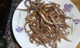 小鱼仔吃瓜,小鱼仔的瓜界探险记