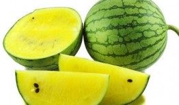 学生品瓜抢瓜吃的图片,品瓜抢瓜欢乐多