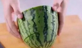 吃瓜有什么工具,轻松解锁娱乐圈热点