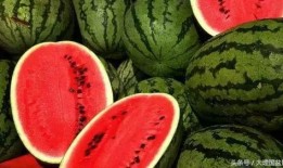 雪落吃瓜二皇子的瓜,揭秘宫廷秘闻背后的真相