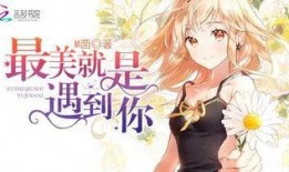 吃瓜恋爱小说,恋爱瓜果的甜蜜邂逅