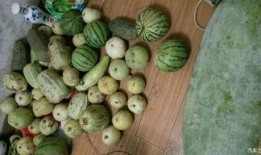 小五在吃瓜,揭秘娱乐圈那些不为人知的幕后故事