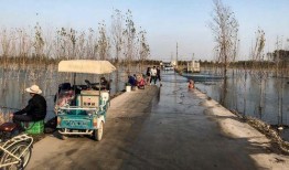 辉县占城镇吃瓜,夏日炎炎，吃瓜群众共享清凉时光