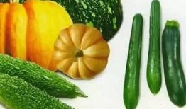 吃瓜变富,揭秘网络红人的财富密码