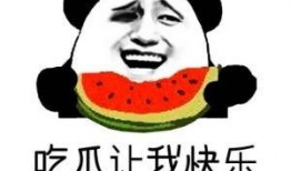 吃瓜 英文解释,Unveiling the Buzz: Decoding the English Explanation of 'Eating Watermelons'