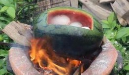 吃白蛋瓜视频,视频揭秘家常美味制作秘诀