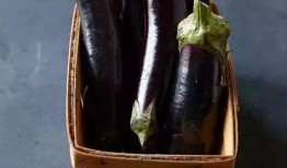 小茄子吃瓜,小茄子与瓜果乐园的奇幻之旅