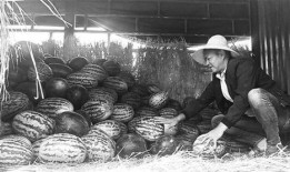 吃瓜群众磁县,吃瓜群众眼中的魅力县城