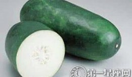 吃瓜有什么工具,轻松解锁娱乐圈热点