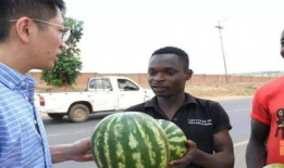 吃瓜祖宗被暴打,一场网络暴力引发的血案