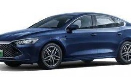 嵊州比亚迪吃瓜,真相与争议交织