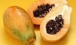 吃瓜会胃胀,揭秘胃胀背后的秘密