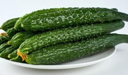 吃瓜有什么工具,轻松解锁娱乐圈热点