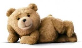 吃瓜泰迪熊,网络红人的崛起与影响力