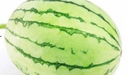 野外找瓜吃,揭秘如何轻松找到美味瓜果