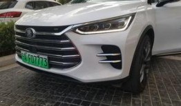 嵊州比亚迪吃瓜,真相与争议交织