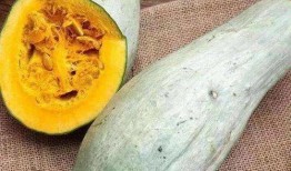 吃瓜变富,揭秘网络红人的财富密码