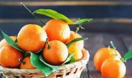 甜橘吃瓜,揭秘娱乐圈的甜蜜与瓜皮