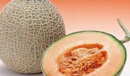 狗狗吃哈密瓜三天后腹泻,三天后宠物健康亮红灯