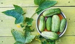 天天吃瓜好处,揭秘天天吃瓜的五大益处