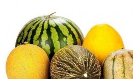 天天吃瓜好处,揭秘天天吃瓜的五大益处