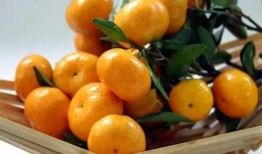 甜橘吃瓜,揭秘娱乐圈的甜蜜与瓜皮