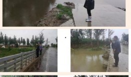 辉县占城镇吃瓜,夏日炎炎，吃瓜群众共享清凉时光