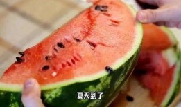 拿着西瓜吃瓜
