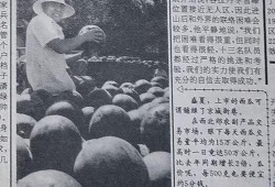 路遥吃瓜群众,吃瓜群众的视角解读人生百态