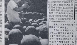 路遥吃瓜群众,吃瓜群众的视角解读人生百态