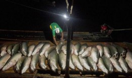 渔民围观吃瓜,一场别开生面的“吃瓜”盛宴