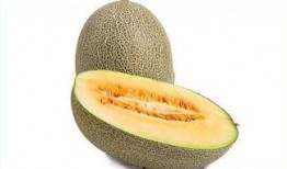 吃蜜瓜会上火吗,揭秘吃蜜瓜是否会引发上火