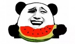 Tincan吃瓜视频,揭秘娱乐圈幕后故事