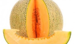 吃补药可以吃哈密瓜吗,食用搭配指南