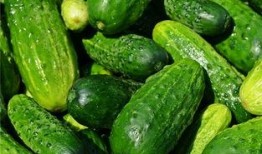 梦到瓜地里吃瓜