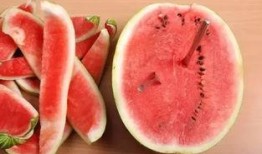 痛风可以吃甜角瓜吗,甜角瓜的适宜摄入与痛风管理