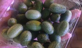 热情吃瓜全文,揭秘娱乐圈幕后真相与趣味瞬间