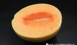 会宁吃瓜,一场别开生面的“吃瓜”盛宴