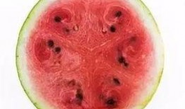 科学吃瓜图片,营养与健康的完美结合