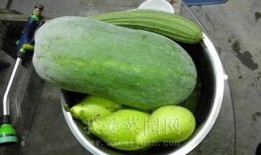 很热的吃瓜,吃瓜群众狂欢时刻！