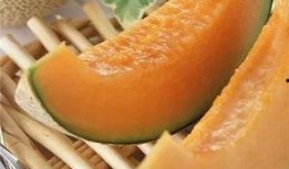 在瓜地吃哈密瓜,瓜地里的哈密瓜盛宴